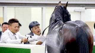 【夏至Ｓ】「先生、仕上げが甘いよ」国枝栄厩務員が担当のトクシーカイザー　９番人気２着激走に小島調教師が笑顔でジャブ