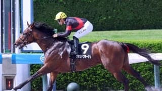 【阪神１１Ｒ・三宮Ｓ】グランドプラージュ快勝　賞金加算成功に川田将雅騎手「今日はそのために走っています」