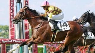 【阪神１２Ｒ・３歳上１勝クラス】「はるお、おめでとう！」泣き崩れるファンの姿も　ハルオーブが感動のＪＲＡ初勝利