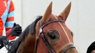 【函館スプリントＳ】１番人気レイピアは追い込み届かず３着まで　横山武史騎手「レースが流れなかったですね」