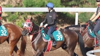 【１４日の注目・阪神４Ｒ】３億３０００万円ＶＳ１億７０００万円のコントレイル産駒対決、チェルヴィニアの弟も参戦