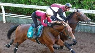 【１４日の注目・阪神５Ｒ】２・４億馬ダイナマイクがデビュー　宝塚記念デーの芝１８００メートル新馬戦は出世レース