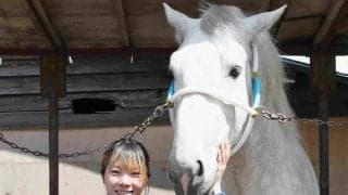 【今井千尋のばんえい日和】軌道に乗ってきたキタサカエシンバ「隣の馬が引っ張る流れなら集中力を切らさずついていける」