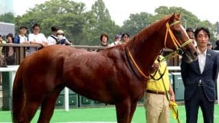 【東京４Ｒ・２歳新馬】ユイノエスポワールが豪脚でＶ　大野拓弥騎手「まだ粗削り」　国枝厩務員の担当馬は３着