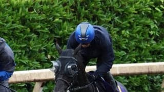 【宝塚記念】２２００メートルの阪神４Ｒから見る馬場傾向は？　クロワデュノールの古馬Ｇ１春３冠を後押しか