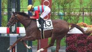 【関東オークス】全日本２歳優駿で２着のタマモフリージアは５枠８番　佐賀のサキドリトッケンは７枠１１番
