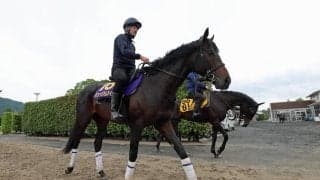 【宝塚記念】馬トク外厩情報…長期休養明けでも不安なし　“さらに強くなった可能性”を秘めるG1馬とは