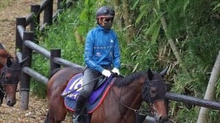 日曜阪神競馬場の注目激走馬…阪神１１Ｒ宝塚記念・Ｇ１