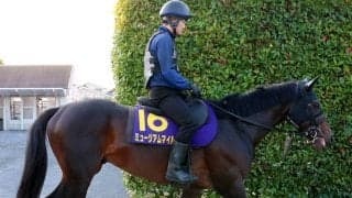 【宝塚記念】ミュージアムマイルは９着でＧＰ秋春制覇ならず　レーン騎手「残り６００メートルでは手応えも良く...」