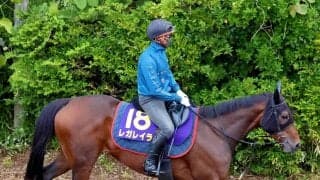 【宝塚記念】「残念ながら馬場コンディションが...」レガレイラは７着　ルメール騎手は直前の大雨に恨み節...
