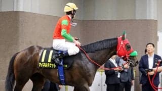 【パラダイスＳ】「さすがの爆発力」津村明秀騎手は絶賛！１番人気マイネルチケットＯＰ初勝利に「重賞でもやれる」