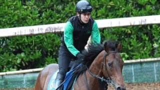 【しらさぎＳ・理貴の特注馬】初代王者キープカルムが連覇へ上々の仕上がり　陣営「今年の方が馬がしっかりしている」