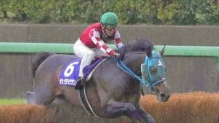 史上最多ＪＧ１・９勝のオジュウチョウサンが３９頭目の顕彰馬選出　石神深一元騎手「本当に人の心を動かす馬」