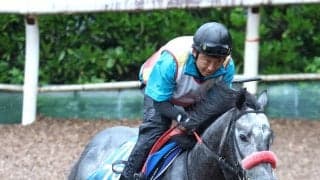 【しらさぎＳ】実績馬ミニトランザットが重賞初制覇狙う　夏のマイル王へ杉山佳調教師「格好はつけてもらいたい」