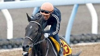 【しらさぎＳ】除外対象のテリオスララは２走前に逃走Ｖの武豊騎手が…　府中牝馬との両にらみで巻き返しへ