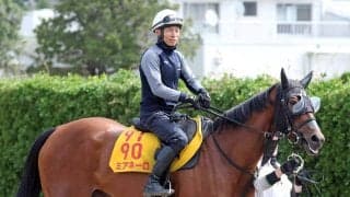 【府中牝馬Ｓ】ゲート再審査クリアのミアネーロは再び芝へ　状態も林師が「今回はかなり落ち着いて穏やかです」と太鼓判
