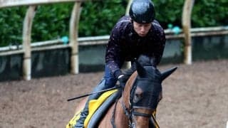 【府中牝馬Ｓ】連覇を狙うセキトバイーストはＣＷコースで軽快　陣営「今年に入って、一番いい」