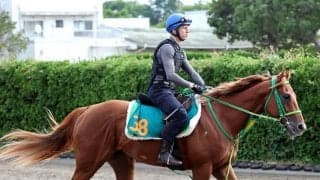 【注目馬動向】名馬フライトラインの産駒として世界初Ｖのデミアンの今後について斎藤誠調教師が明言