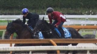 ラムジェット＆カゼノランナー、帝王賞追い切り速報/栗東トレセンニュース