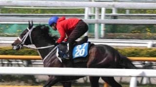 【函館記念・１週前】喉頭蓋エントラップメント手術から復帰のエコロディノスが好気配　池添謙一騎手「ギアを上げるため…」