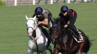 【ＰＯＧ】ソダシの半妹“白毛一族”スノーウィスパーが最終追い　２０日函館デビュー　佐々木大輔騎手「前進気勢が出てきた」