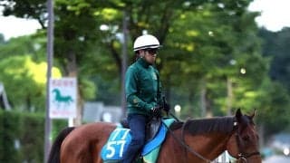【注目馬動向】しらさぎＳに出走予定のベラジオボンドは左前脚のじん帯を痛めたため出走回避