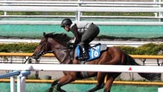 【函館記念・１週前】昇級戦で重賞初挑戦のイガッチが好調をアピール　陣営「強い負荷をかけました」