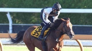 【府中牝馬Ｓ】パラディレーヌは久々に当週コース追い　軽めの３ハロン追いにも千田調教師「そんなにやらなくていい」