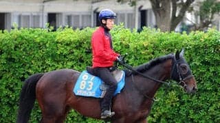 【注目馬動向】エプソムＣ６着のカラマティアノスは引き続き津村明秀騎手で七夕賞へ　福島に初参戦