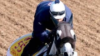 【府中牝馬Ｓ】菊沢父子での重賞連勝へ雰囲気は最高　坂路で弾んだコガネノソラはゴルシ譲りの気の強さが長所