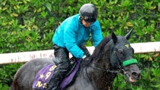 【ＱＥ２世ジュビリーＳ】ルガルが最終追い切り完了　鮫島克駿騎手「馬もイライラしておらずハッピーです」