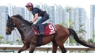 【ＱＥ２世ジュビリーＳ】昨年２着のサトノレーヴが絶好の動き　堀調教師「昨年より活気があり、毛づやや張りも良好」