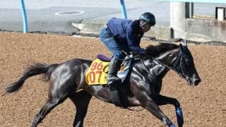 【府中牝馬Ｓ】エストゥペンダは単走で好反応　高柳瑞調教師「スムーズに運んでしまいの脚を生かせれば」