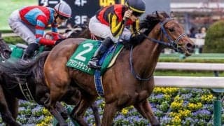 【府中牝馬S】半兄はフォーエバーヤング ブラウンラチェットが復活の重賞2勝目なるか