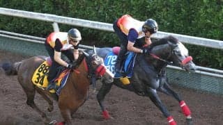 【しらさぎＳ】ミニトランザット脚取り軽快　杉山佳調教師「超回復を見せている」初の重賞制覇へ順調