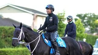 【注目馬動向】モックモックは繰り上がりなら帝王賞、除外なら阿蘇Ｓへ　ヤマニンウルスは昨年Ｖの東海Ｓが目標
