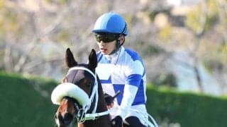 【関東オークス】佐賀から挑戦のサキドリトッケンは最下位１４着　吉原寛人騎手「気持ちも入らず進んでいかなくなった」