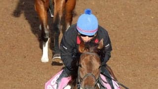 【関東オークス】１番人気のタマモフリージアは４着　２年ぶりＶならずも田口貫太騎手「まだまだやれるし、これからの馬」