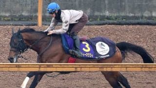 【注目馬動向】エーティーマクフィはキーンランドＣ本線　サウンドモリアーナは北九州記念で吉村誠之助騎手と初コンビ