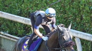 【注目馬動向】ジューンテイクは秋にバーレーン遠征などが選択肢　ジューンブレアは昨年２着のスプリンターズＳに直行