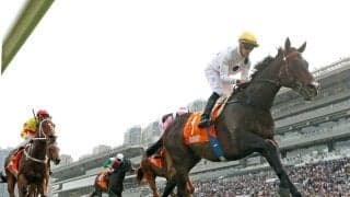 “香港最強馬”が引退後に日本移住→素顔は「可愛い甘えん坊」で大人気！ゴールデンシックスティのグッズ発売もすでに「残りわずか」