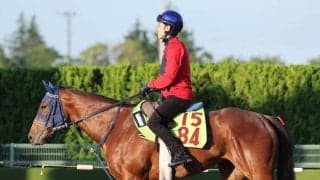 【ＰＯＧ】６・２０東京デビューのルークウォームはいかにも初戦向き　手塚久調教師「スピードがありそう」