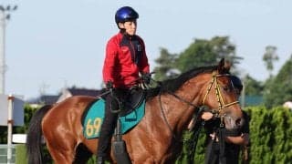 【ＰＯＧ】２１日デビューのシュートザワークスは２週連続で津村明秀騎手騎乗　「先々が楽しみな馬」と千葉調教師