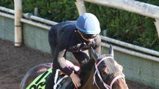 【ＰＯＧ】叔母はショウナンザナドゥ　牡馬との対戦を選択したミエルモーサに松下調教師「いいですよ。スピードもあります」