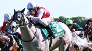 【注目馬動向】葵Ｓ勝ちのデアヴェローチェは北九州記念へ　大物候補モンローウォークはかもめ島特別で無傷３連勝狙う