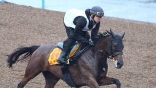【府中牝馬Ｓ】ニシノティアモは単走でパワフルな脚さばき　上原佑調教師「できれば稍重ぐらいまでで…」