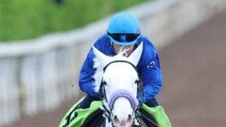 【ＰＯＧ】ソダシ半妹、白毛のスノーウィスパーが２０日函館５Ｒに出走確定　陣営「気持ちも入ってきました」