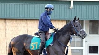 【ＰＯＧ】最終追い切りで古馬に先着！ラガリーガが２１日東京でデビュー　手塚久調教師「追ってから良さそう」