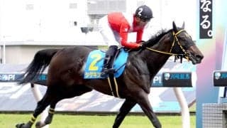 【川崎競馬】素質馬２頭が新馬戦勝ち。「折り合い面がもっと良くなればさらにいい」サンバルカンと「成長力がある」シゲキング