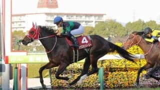 「４口当選したぞー」「外れると思ってた！」夢いっぱいの吉報にファンは歓喜の声　良血馬の一口馬主が続々誕生！